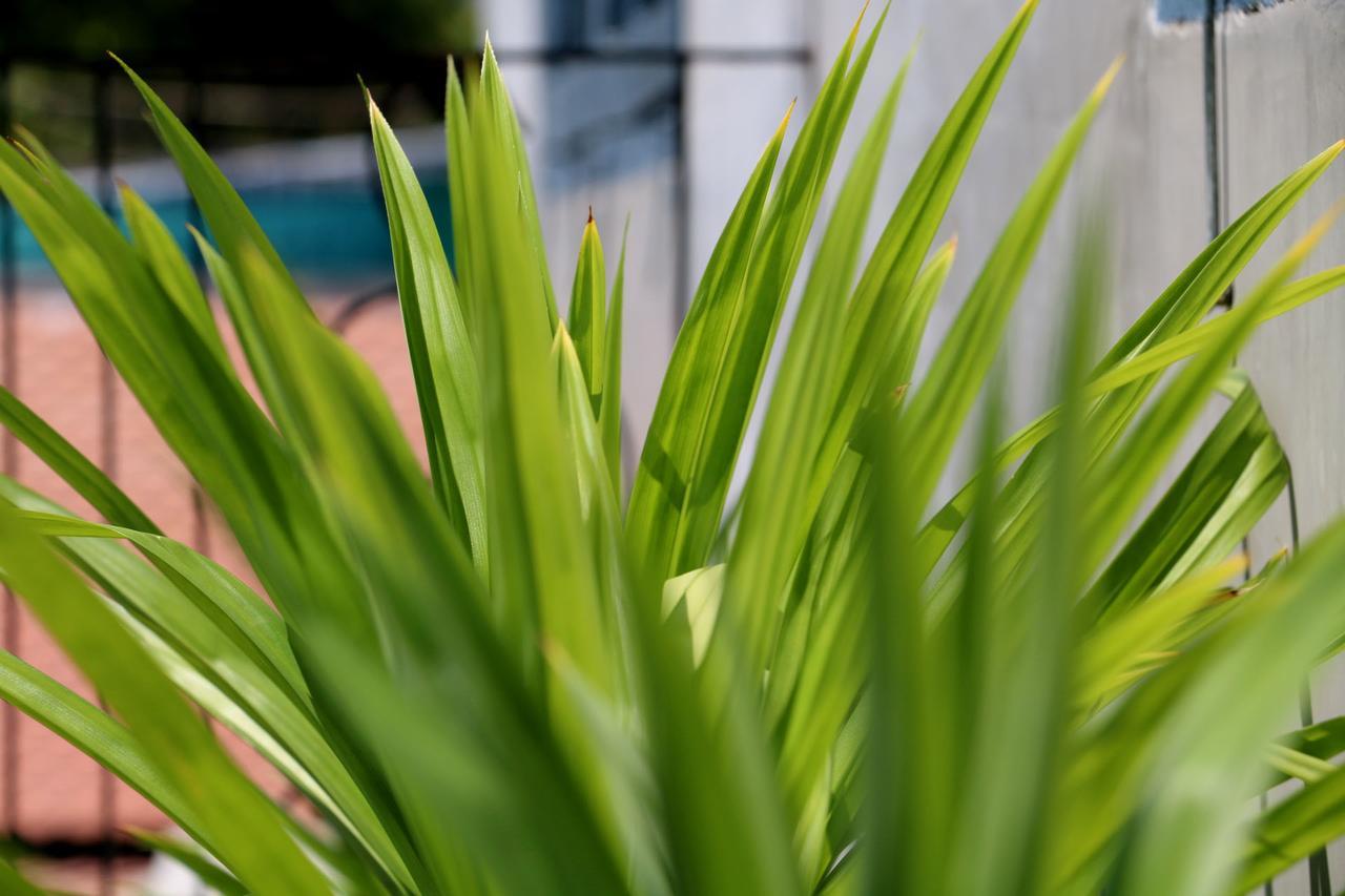Corner9 Bassac Boutique Hotel Phnom Penh Exterior foto
